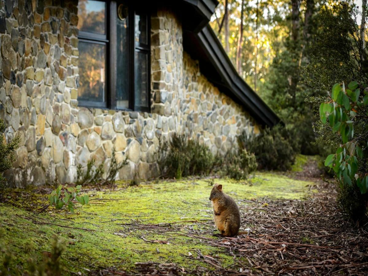 Discovery Parks - Cradle Mountain Buitenkant foto