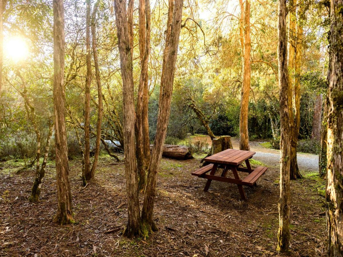 Discovery Parks - Cradle Mountain Buitenkant foto